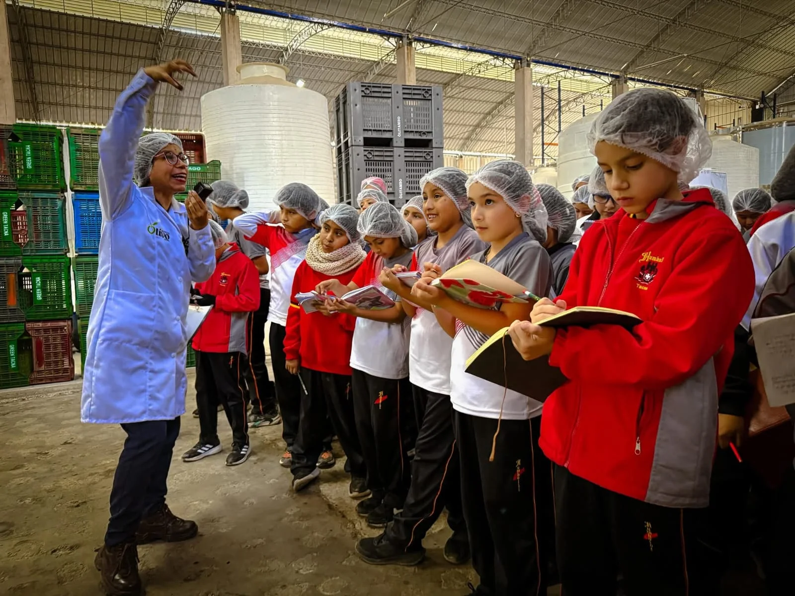 Sowing the Future: Children Discovering Olive Oil Technology