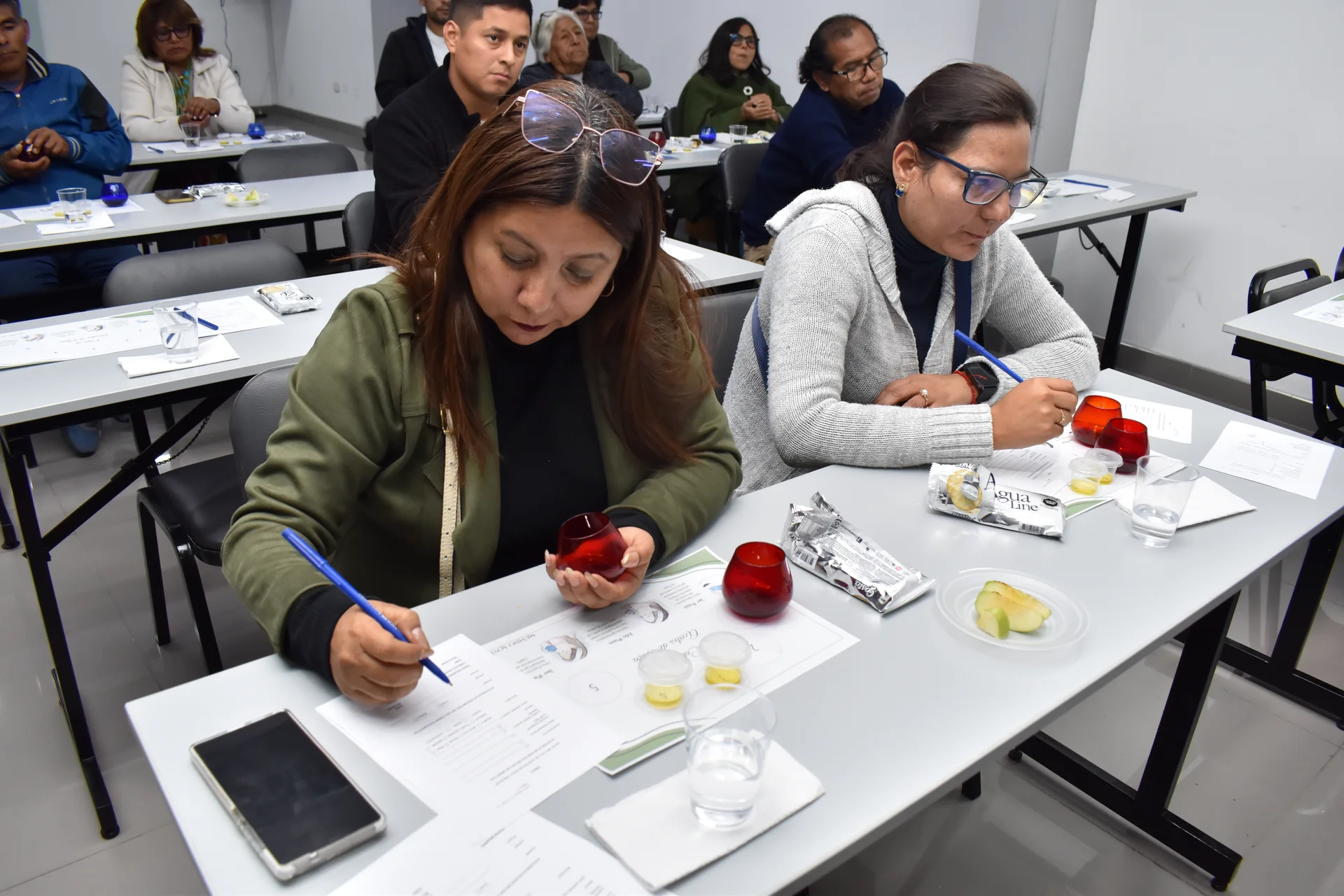 Sensory analysis session: colour, aroma and flavour guided by Alejandra.